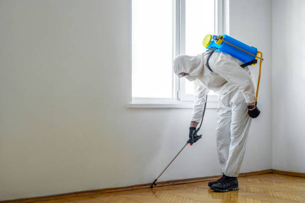 Professional Pest Control in Eldersburg, MD